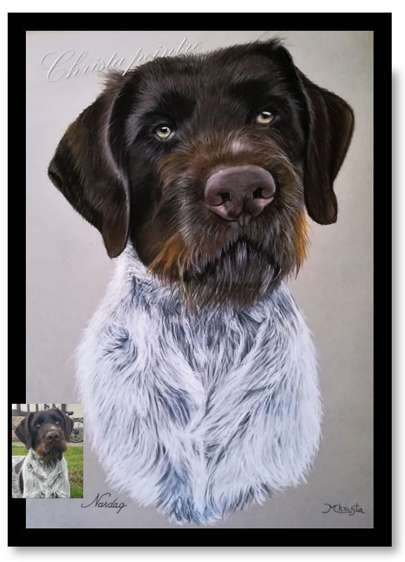 Chien 3