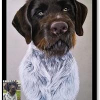 Chien 3