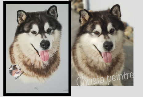 pastel 6