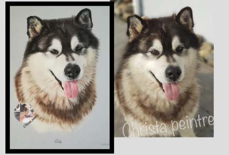 pastel 6
