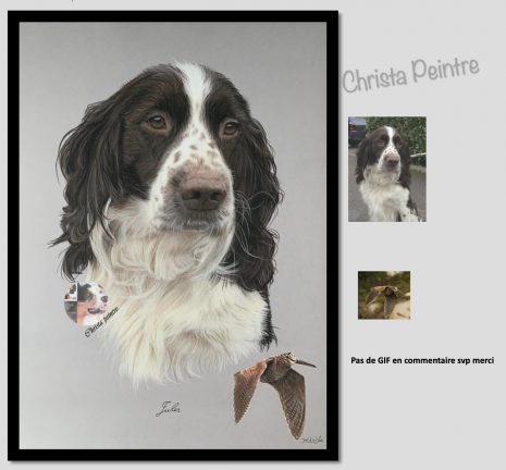 Chasse