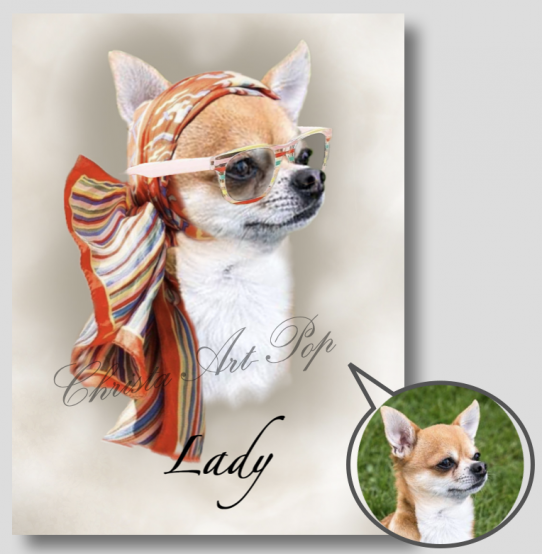 Lady