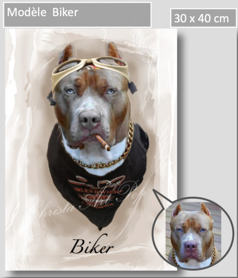 Biker