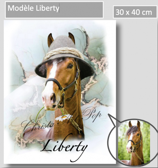 Liberty Christa pop costume