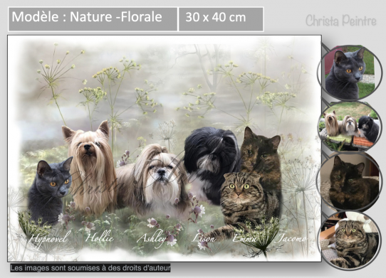 Nature : Florale