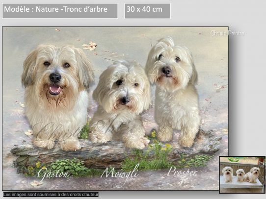 tronc d arbre christa
