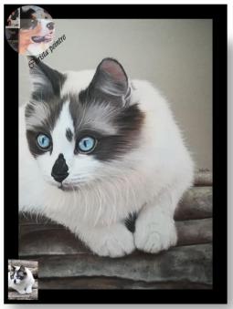 Chat sur bois