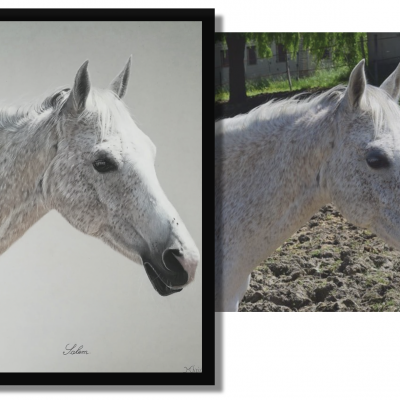 Cheval blanc pastel
