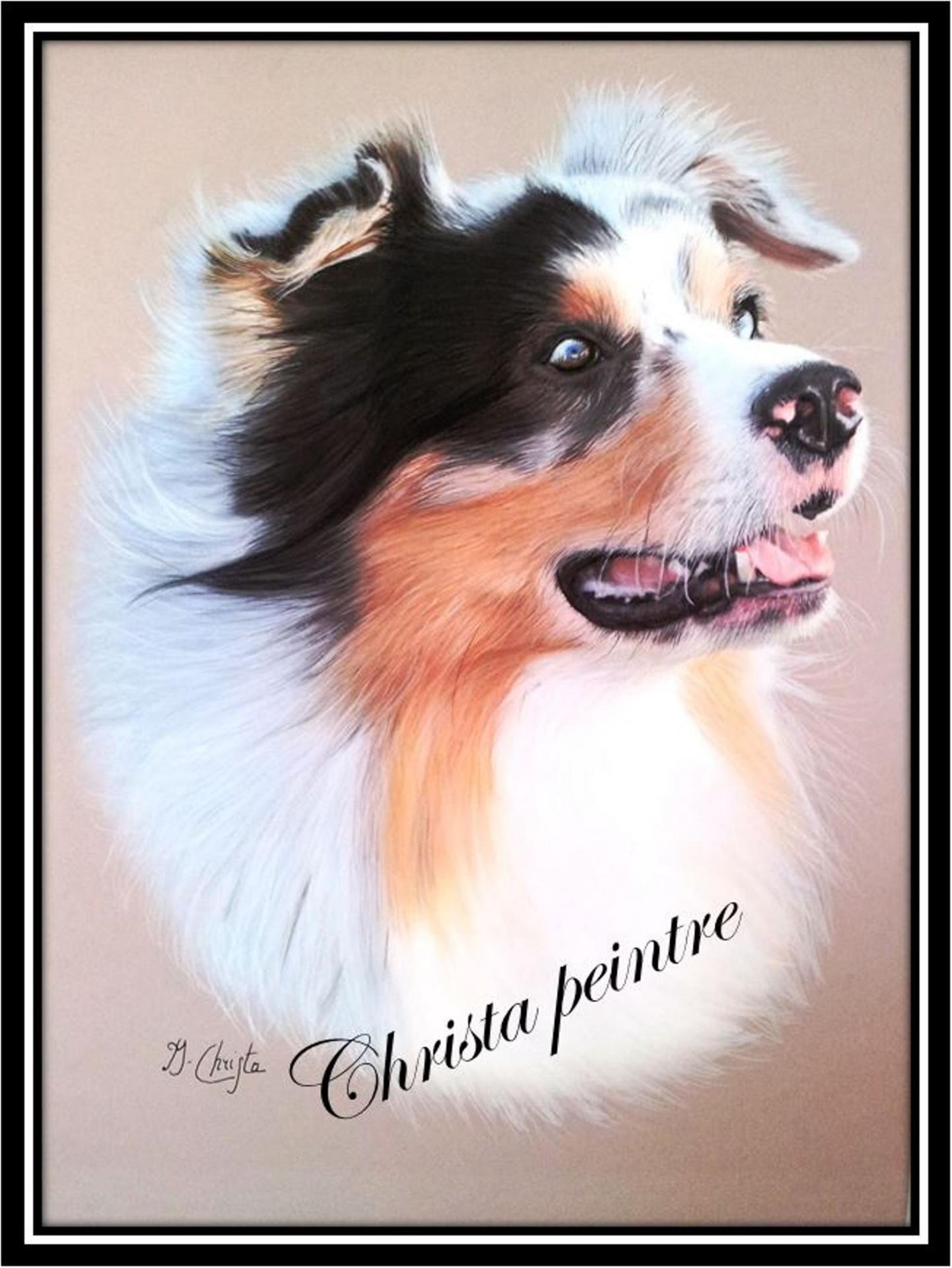 Chien berger