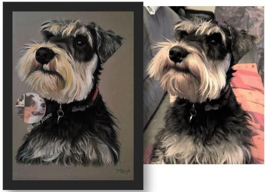 Chien noir et beige