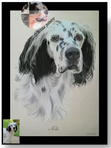 Setter