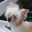 rioelixir