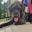 Coralie